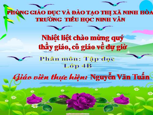 Tuần 15. Tuổi Ngựa