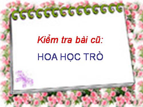 Tuần 23. Khúc hát ru những em bé lớn trên lưng mẹ