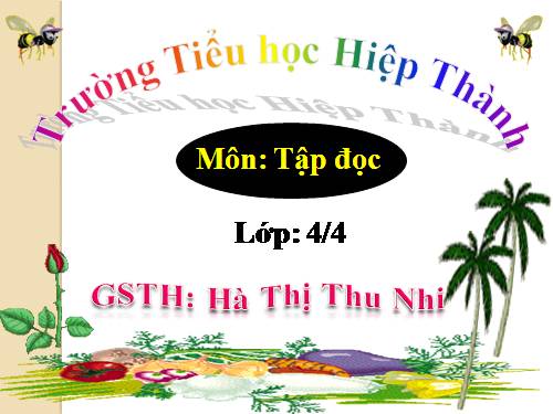 Tuần 23. Khúc hát ru những em bé lớn trên lưng mẹ