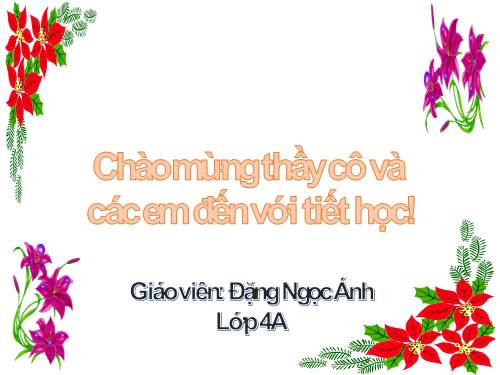 Tuần 15. Tuổi Ngựa
