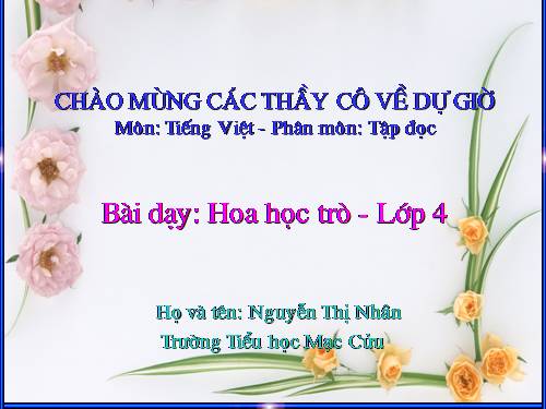 Tuần 23. Hoa học trò