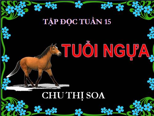 Tuần 15. Tuổi Ngựa