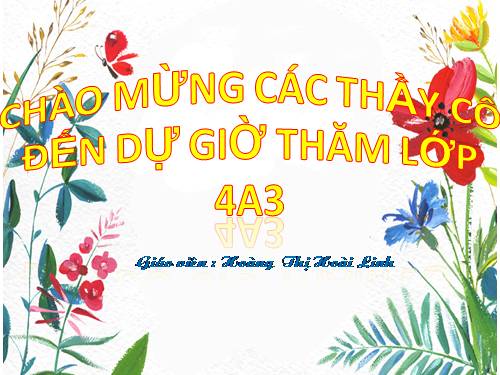 Tuần 8. Đôi giày ba ta màu xanh