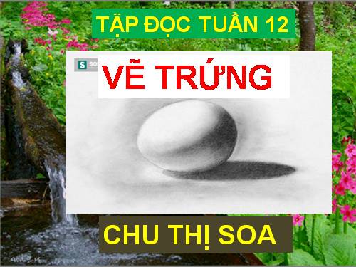 Tuần 12. Vẽ trứng