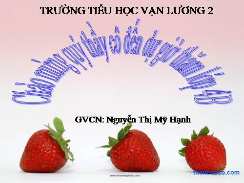 Tuần 6. Chị em tôi