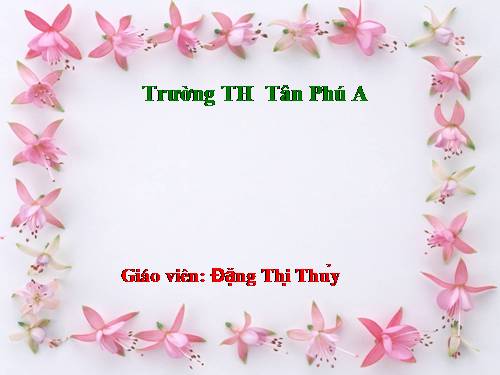 Tuần 7. Trung thu độc lập