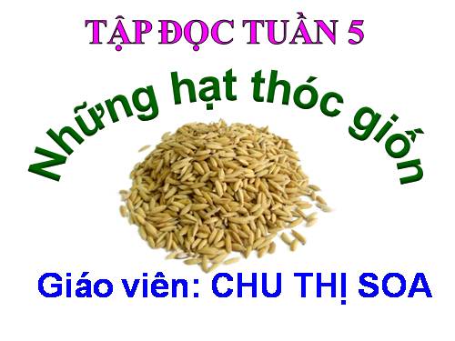 Tuần 5. Những hạt thóc giống