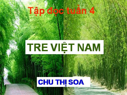 Tuần 4. Tre Việt Nam