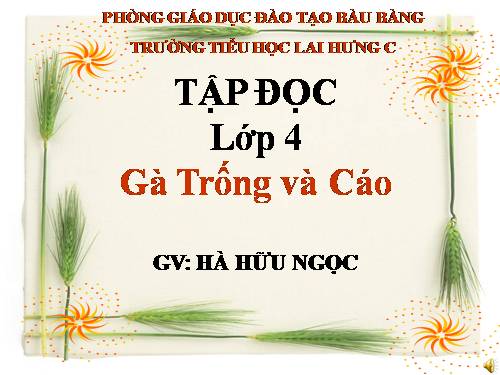 Tuần 5. Gà Trống và Cáo