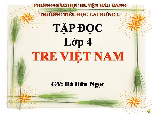 Tuần 4. Tre Việt Nam