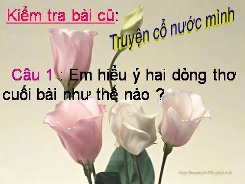 Tuần 3. Thư thăm bạn