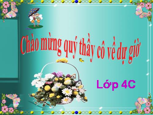 Tuần 22. Sầu riêng