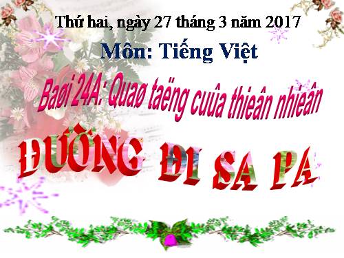 Tuần 29. Đường đi Sa Pa