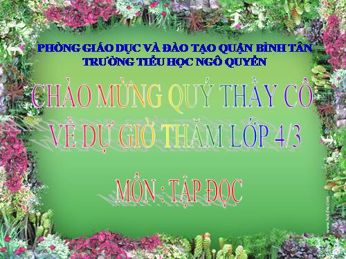 Tuần 31. Con chuồn chuồn nước