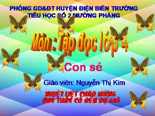 Tuần 27. Con sẻ