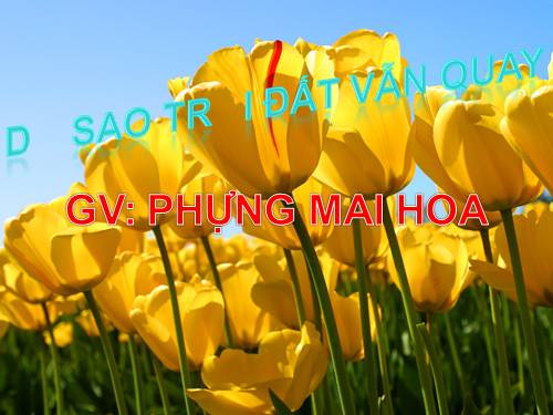 Tuần 27. Dù sao trái đất vẫn quay!