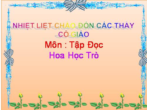 Tuần 23. Hoa học trò