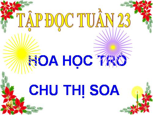 Tuần 23. Hoa học trò