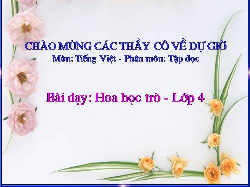 Tuần 23. Hoa học trò