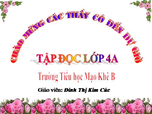 Tuần 23. Hoa học trò