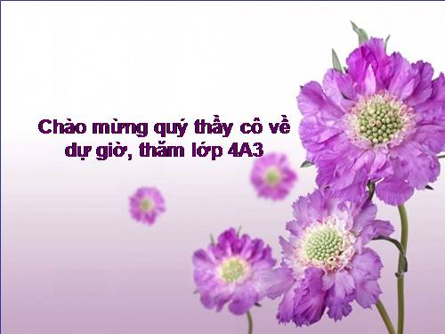 Tuần 15. Tuổi Ngựa