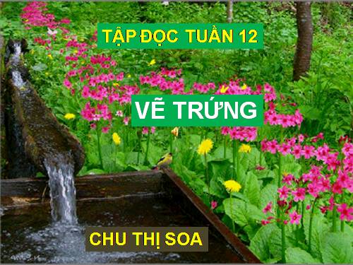 Tuần 12. Vẽ trứng