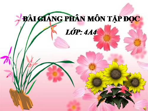 Tuần 8. Đôi giày ba ta màu xanh