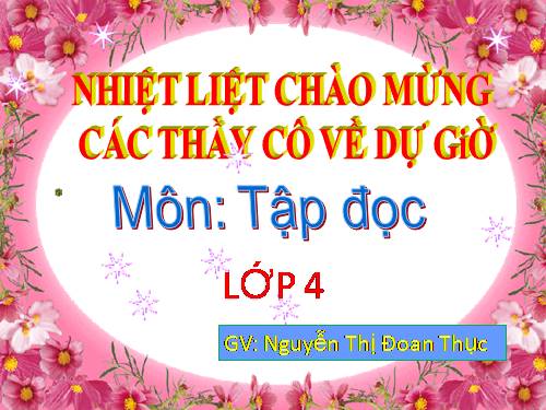 Tuần 27. Con sẻ