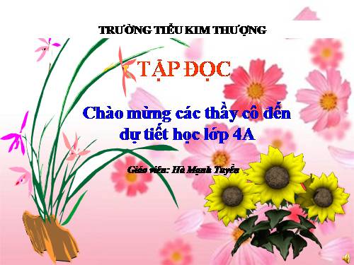 Tuần 8. Đôi giày ba ta màu xanh