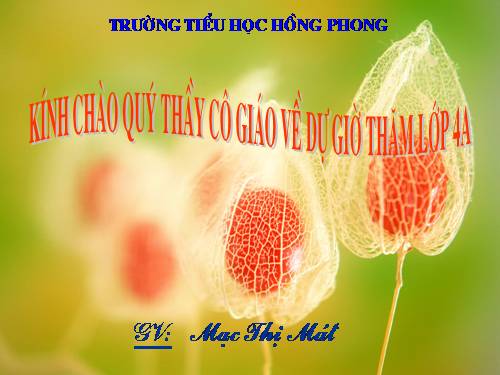 Tuần 4. Một người chính trực