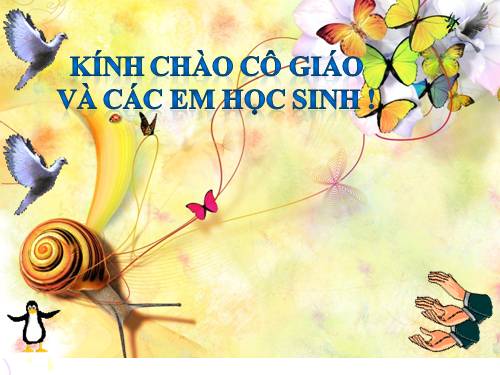 Tuần 25. Khuất phục tên cướp biển