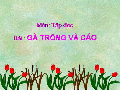 Tuần 5. Gà Trống và Cáo