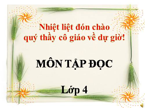 Tuần 4. Một người chính trực