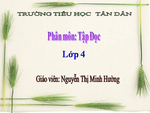 Tuần 23. Khúc hát ru những em bé lớn trên lưng mẹ