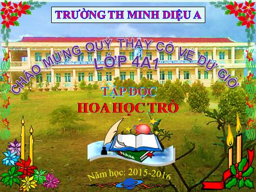 Tuần 23. Hoa học trò