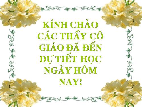 Tuần 31. Con chuồn chuồn nước