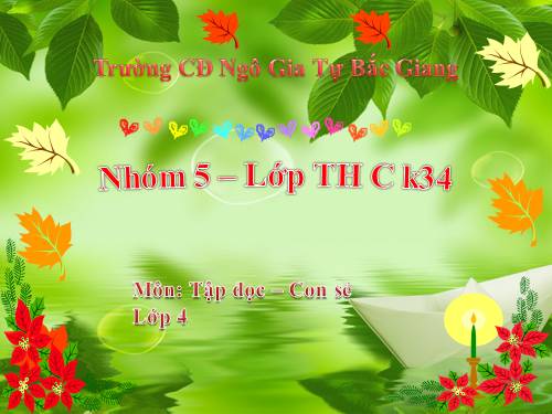 Tuần 27. Con sẻ