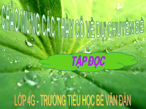 Tuần 6. Chị em tôi