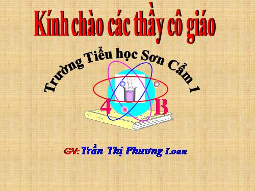 Tuần 15. Tuổi Ngựa