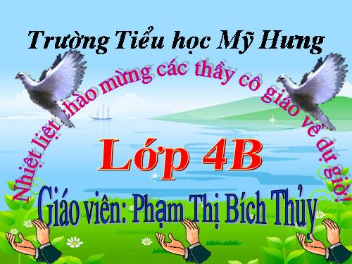 Tuần 15. Tuổi Ngựa