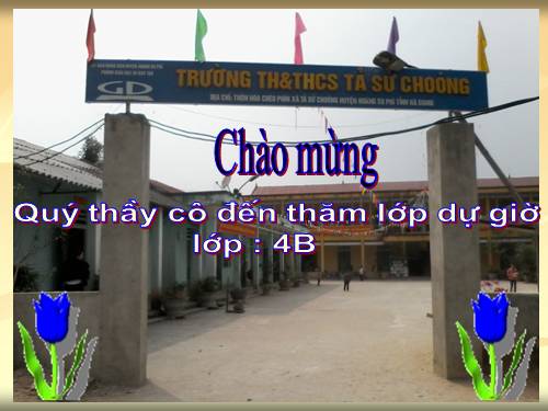 Tuần 30. Dòng sông mặc áo