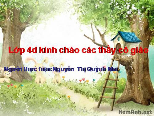 Tuần 8. Đôi giày ba ta màu xanh