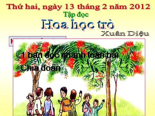 Tuần 23. Hoa học trò