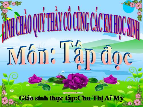 Tuần 29. Đường đi Sa Pa