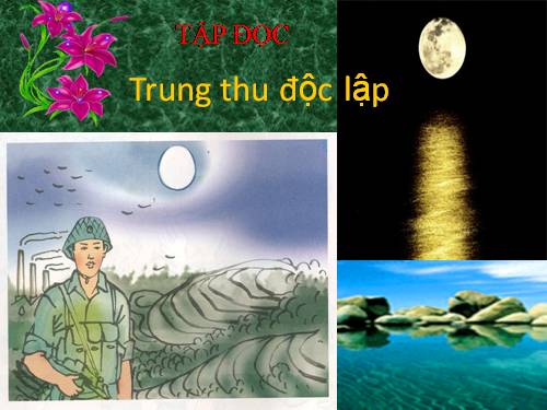 Tuần 7. Trung thu độc lập