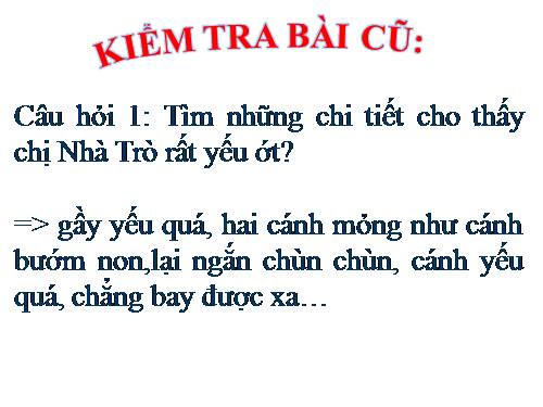 Tuần 1. Mẹ ốm