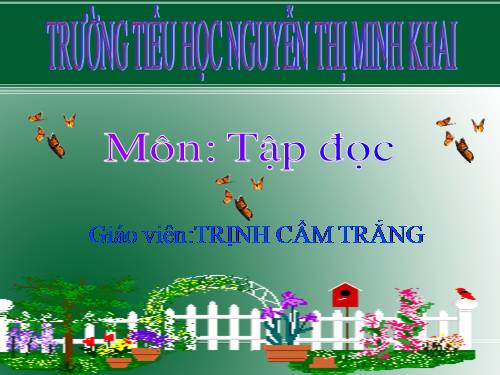 Tuần 29. Trăng ơi... từ đâu đến?