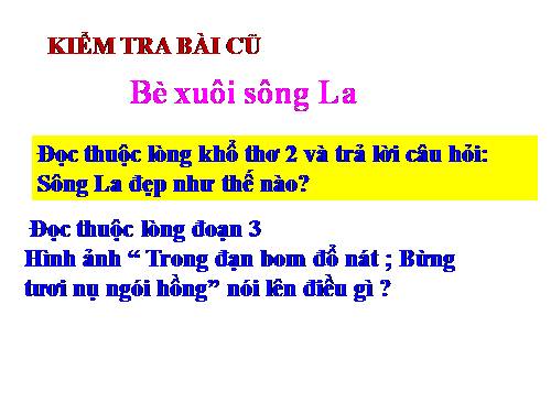 Tuần 22. Sầu riêng