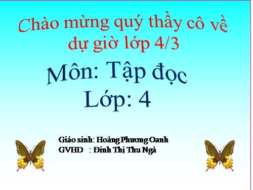 Tuần 27. Con sẻ