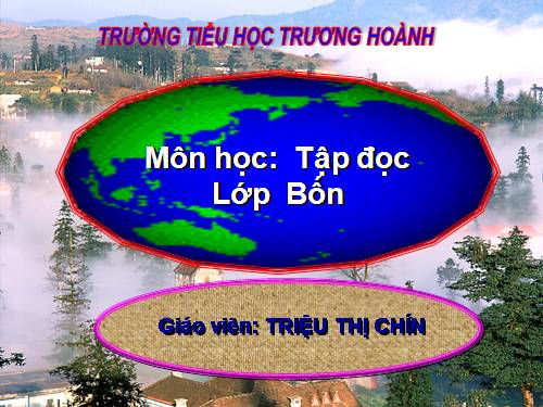 Tuần 23. Hoa học trò